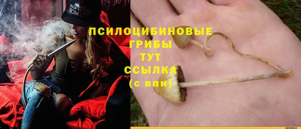 альфа пвп Беломорск