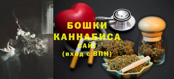 молекула духа Белоозёрский