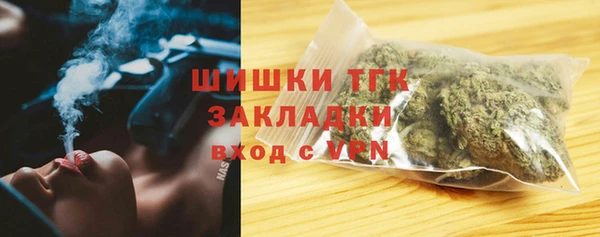 молекула духа Белоозёрский