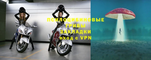 молекула духа Белоозёрский