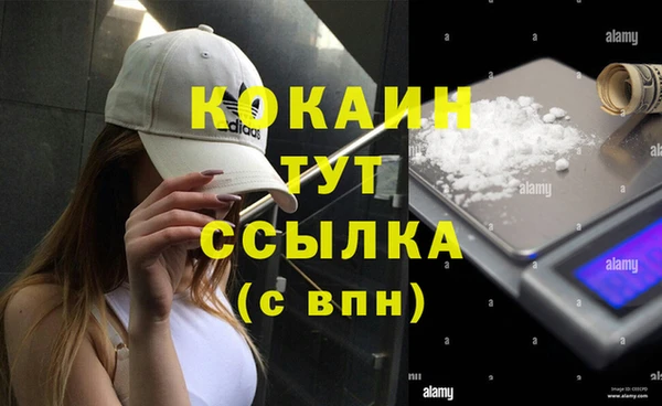 молекула духа Белоозёрский