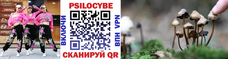 Псилоцибиновые грибы Psilocybe  Нерехта 