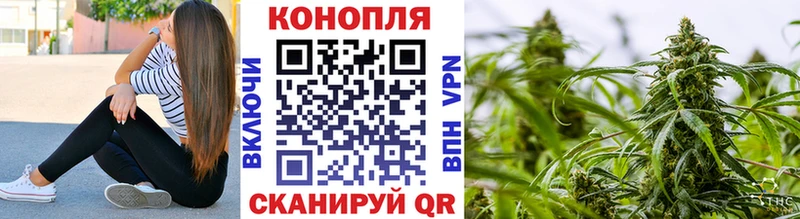 Конопля индика  Нерехта 